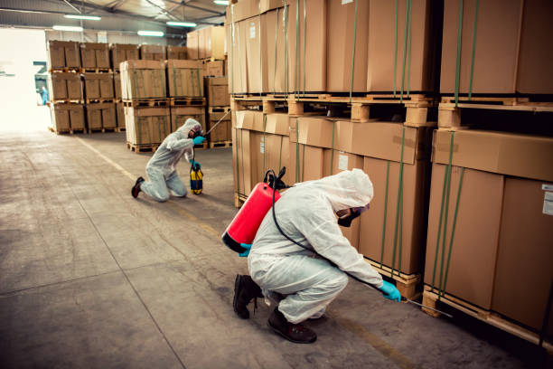 Best Best Pest Control Companies  in Quincy, WA