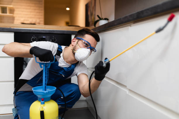 Best Pest Inspection Near Me  in Quincy, WA