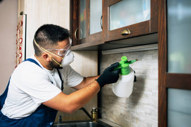 Best Affordable Pest Control Services  in Quincy, WA