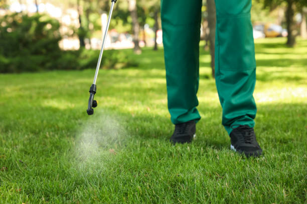 Best Pest Control Near Me  in Quincy, WA
