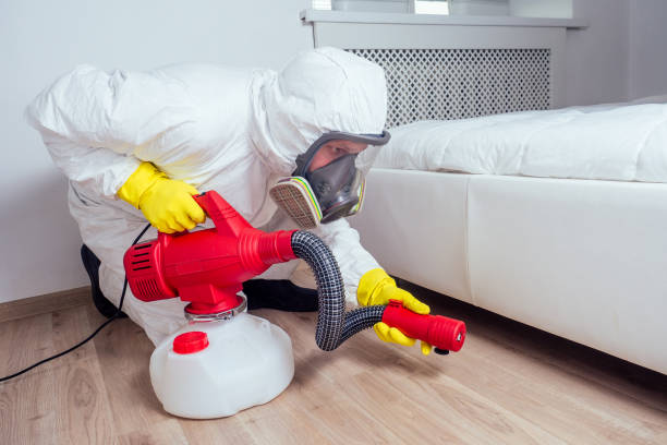 Best Pest Removal Services  in Quincy, WA