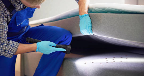 Best Termite Control Services  in Quincy, WA