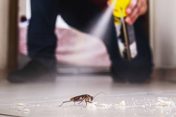 Best Best Pest Control Companies  in Quincy, WA