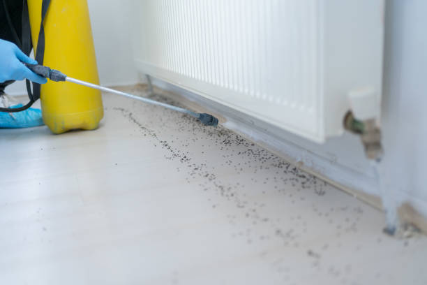 Best Emergency Pest Control  in Quincy, WA